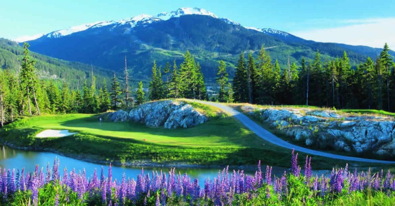 Bright Suite At Ski In/Out Glacier Lodge! Whistler Dış mekan fotoğraf